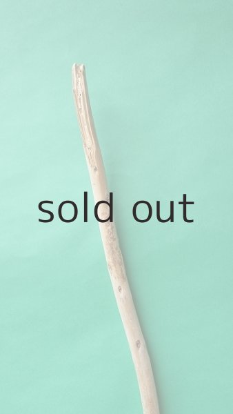 画像4: 棒流木 (4)