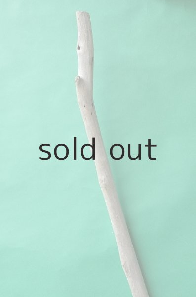 画像4: 枝流木 (4)