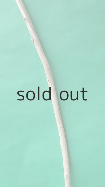 画像3: 棒流木 (3)