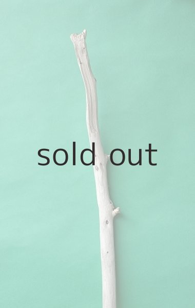 画像4: 棒流木 (4)