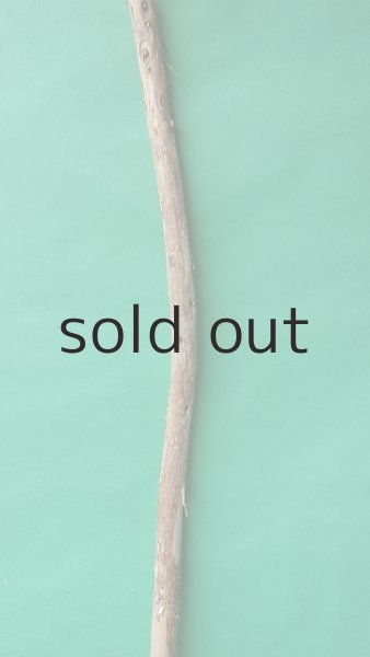 画像3: 棒流木 (3)