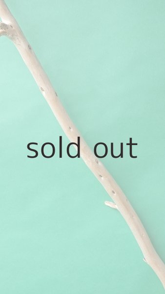 画像4: 棒流木 (4)