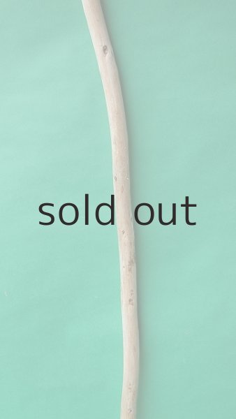 画像3: 棒流木 (3)