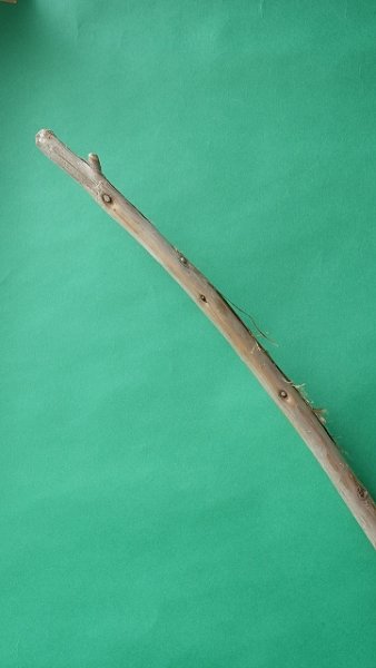 画像5: 棒流木 (5)