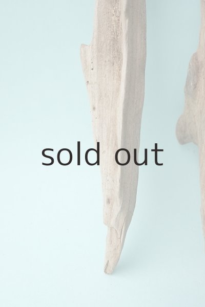 画像2: 変形流木セット (2)