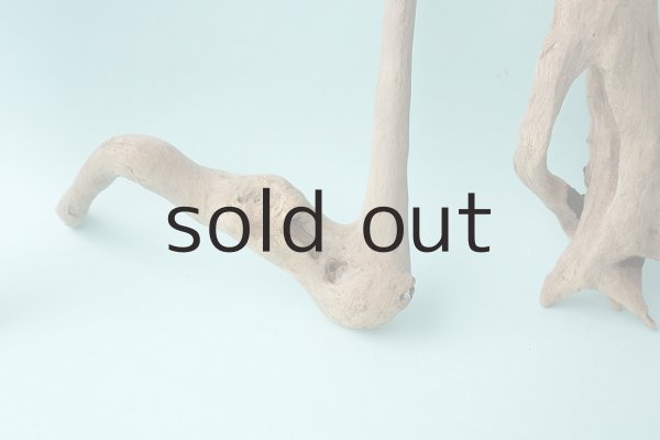 画像5: 流木根セット (5)