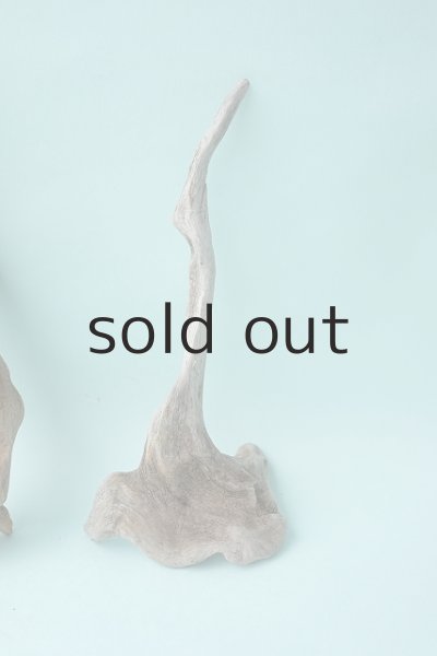 画像4: 流木根セット (4)