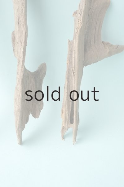 画像3: 変形流木セット (3)