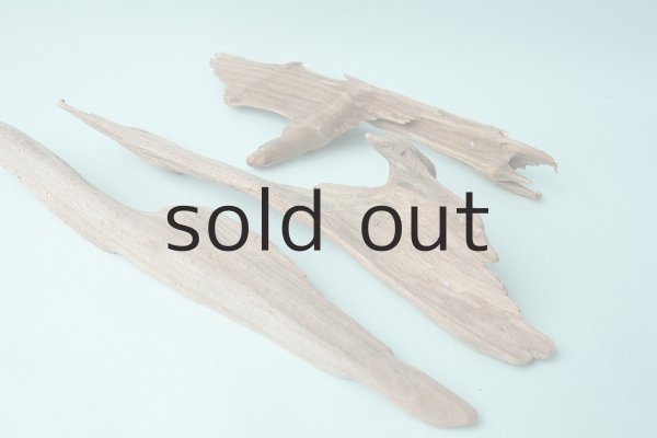 画像5: 変形流木セット (5)