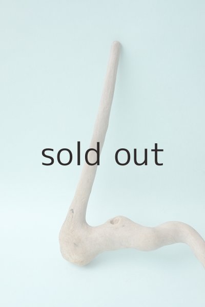 画像2: 流木根セット (2)