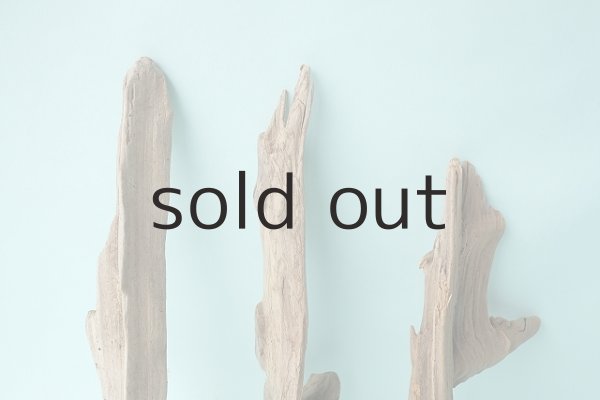 画像4: 変形流木セット (4)