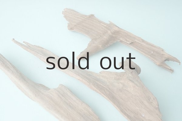 画像6: 変形流木セット (6)