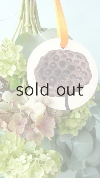 画像3: Dry plants for decor ドライアジサイミニブーケ (3)