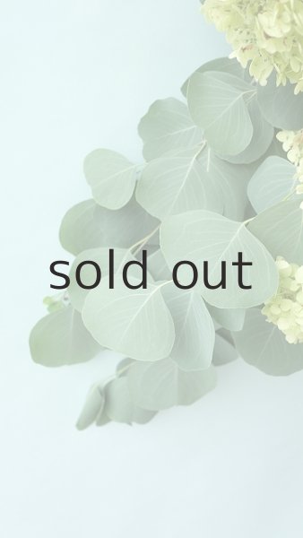 画像5: Dry plants for decor ドライアジサイミニブーケ (5)