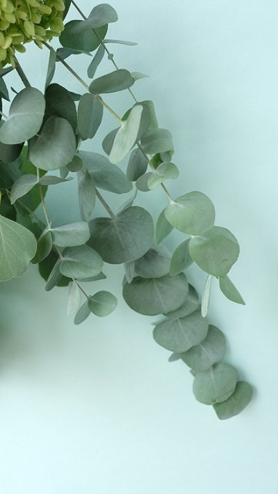 画像2: Dry plants for decor ドライアジサイミニブーケ