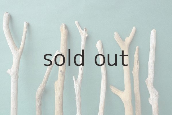 画像3: 小枝・細枝流木セット（outlet） (3)