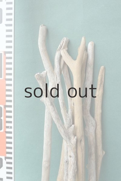 画像4: 小枝・細枝流木セット（outlet） (4)