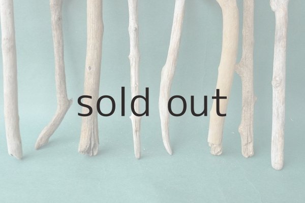 画像2: 小枝・細枝流木セット（outlet） (2)