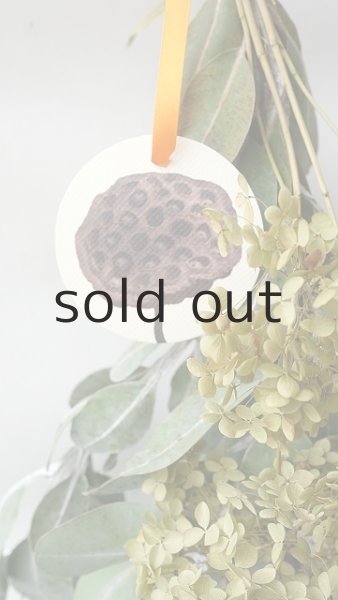 画像3: Dry plants for decor ドライアジサイ+テトラゴナシルバースワッグ (3)