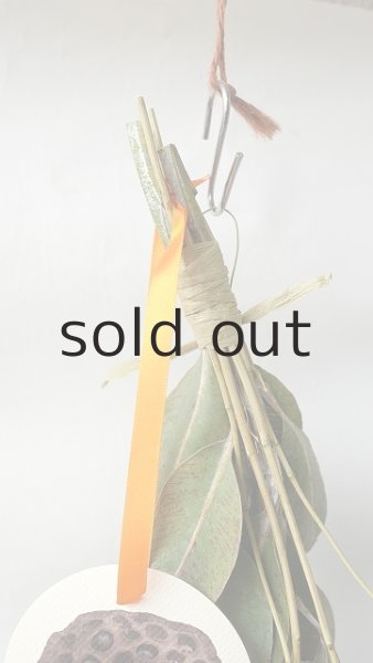 画像2: Dry plants for decor ドライアジサイ+テトラゴナシルバースワッグ (2)