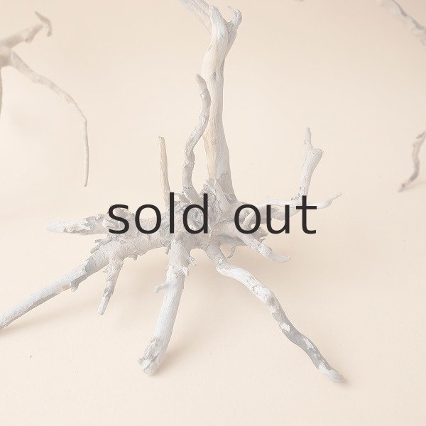 画像3: ミニ流木根セット (3)