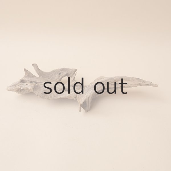 画像2: 変形流木 (2)