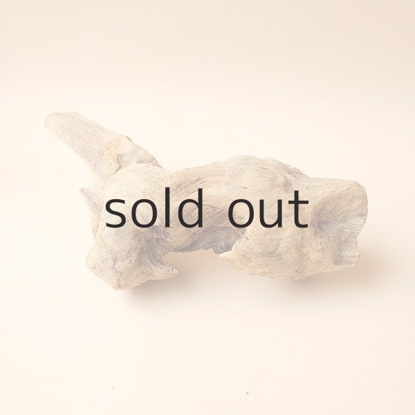 画像2: 変形流木 (2)