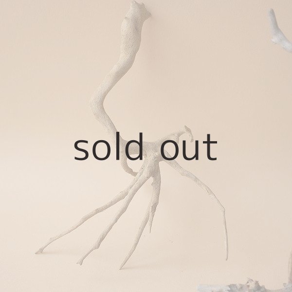 画像2: ミニ流木根セット (2)