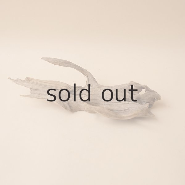 画像3: 変形流木 (3)