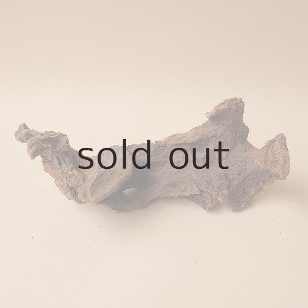 画像4: 変形流木 (4)