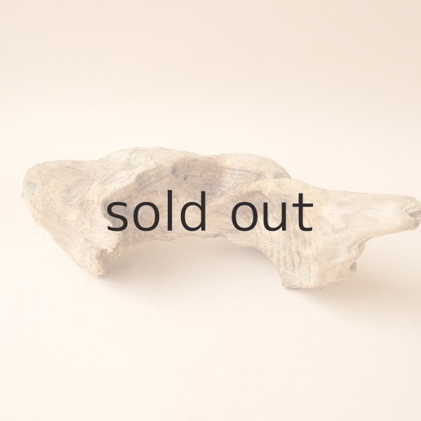 画像3: 変形流木 (3)