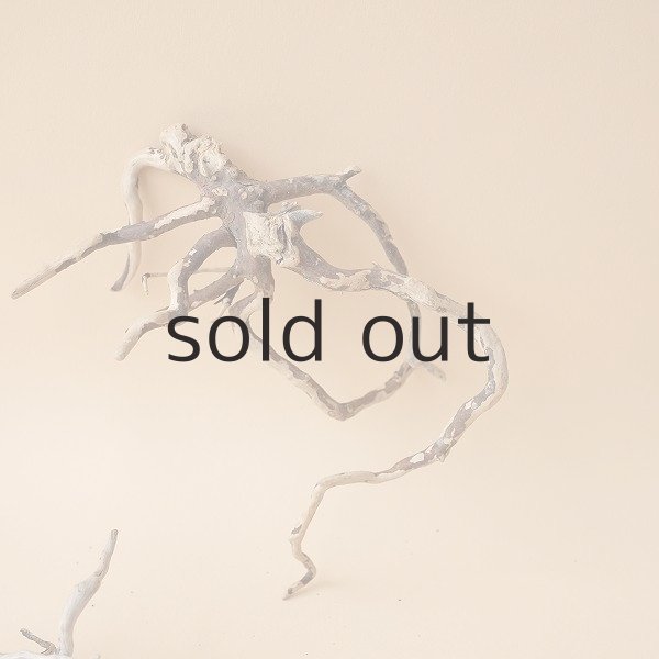 画像4: ミニ流木根セット (4)