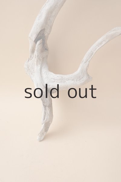 画像2: 変形流木 (2)