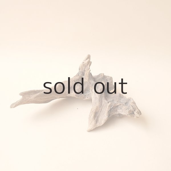 画像2: 変形流木 (2)