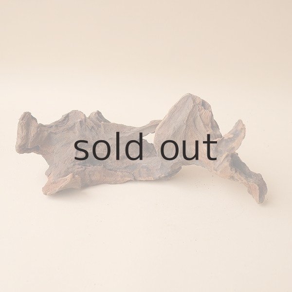 画像2: 変形流木 (2)