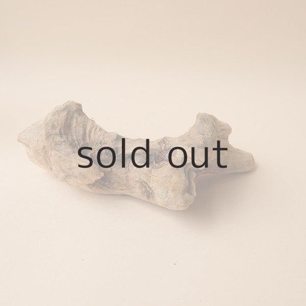 画像4: 変形流木 (4)