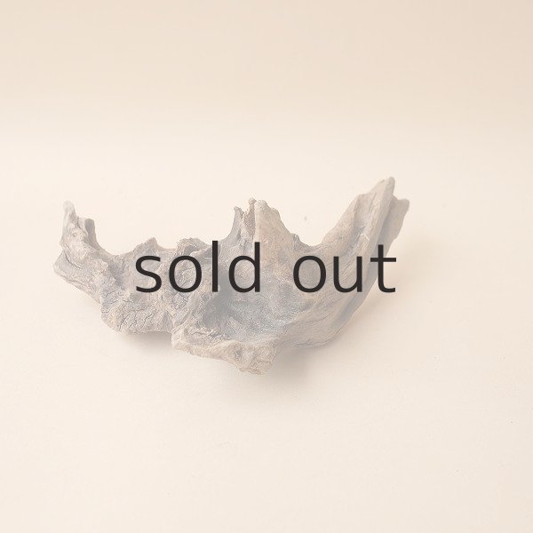 画像3: 変形流木 (3)