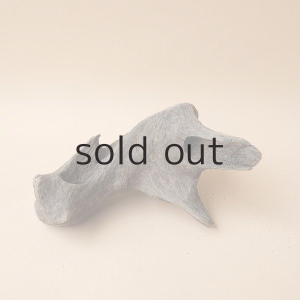 画像2: 変形流木 (2)