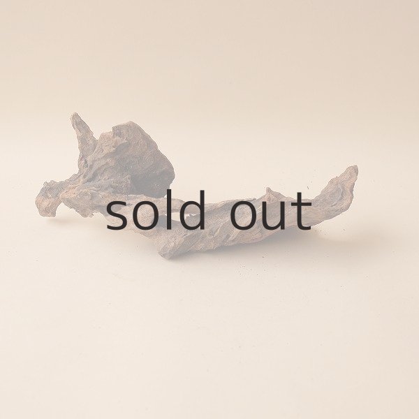 画像3: 変形流木 (3)