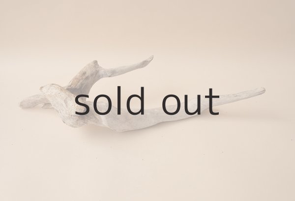 画像5: 変形流木 (5)