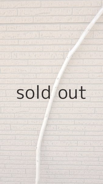 画像3: 棒流木・長尺 (3)