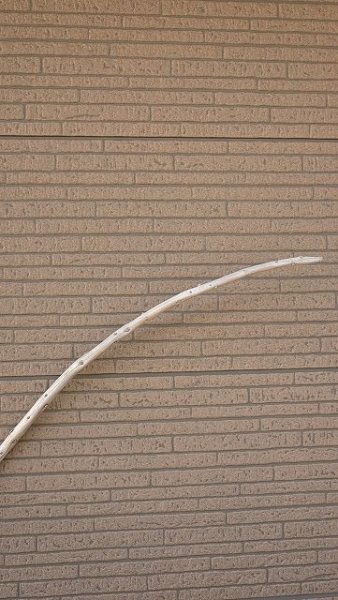 画像4: 棒流木 (4)