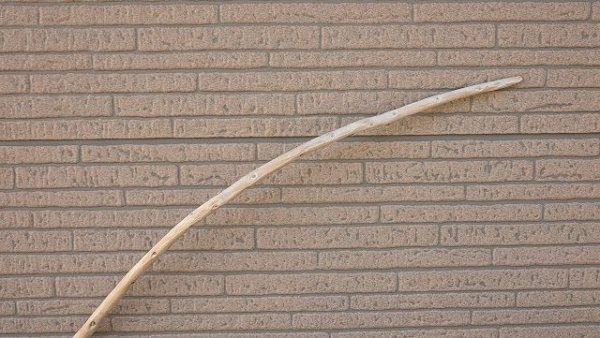 画像4: 棒流木 (4)