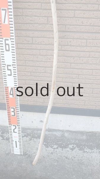 画像5: 棒流木 (5)