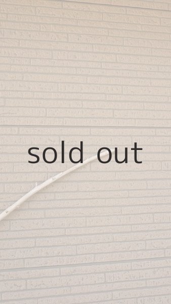 画像5: 棒流木・長尺 (5)