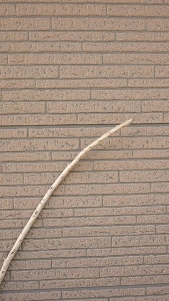 画像4: 棒流木 (4)