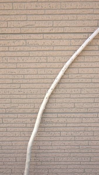 画像3: 棒流木 (3)