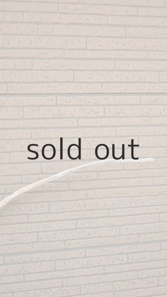 画像4: 棒流木 (4)