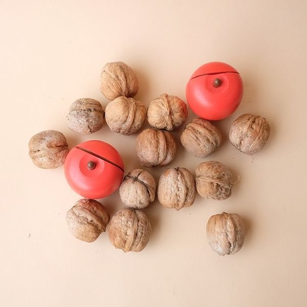 画像2: Dry plants for decor デコール用乾燥胡桃（5個入） (2)