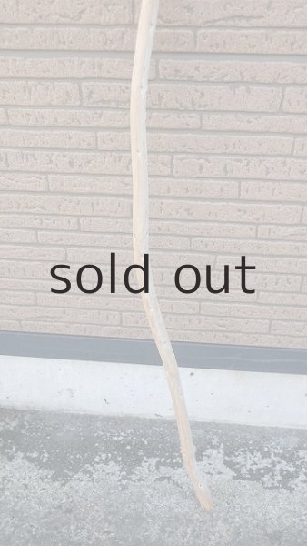 画像2: 棒流木 (2)